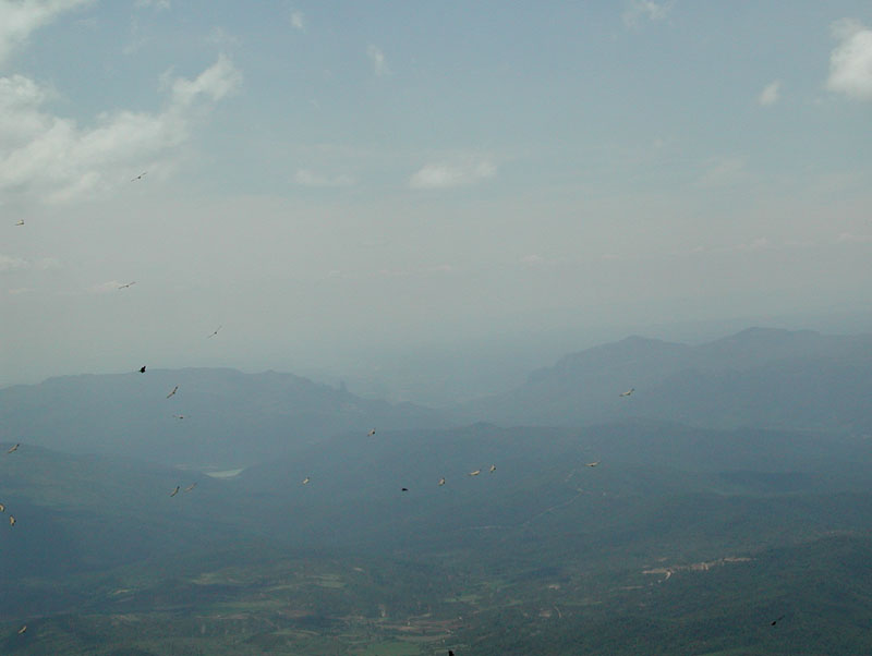 DSCN21.JPG (38241 octets)