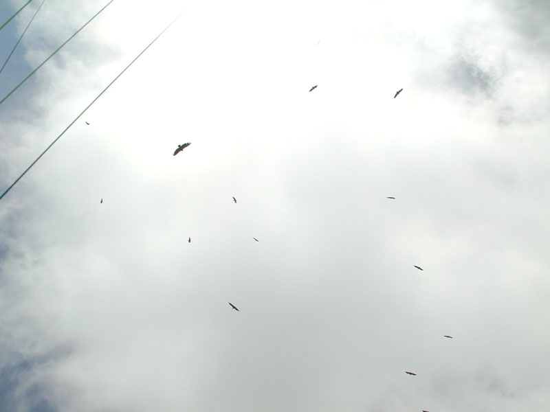 DSCN23.JPG (25464 octets)