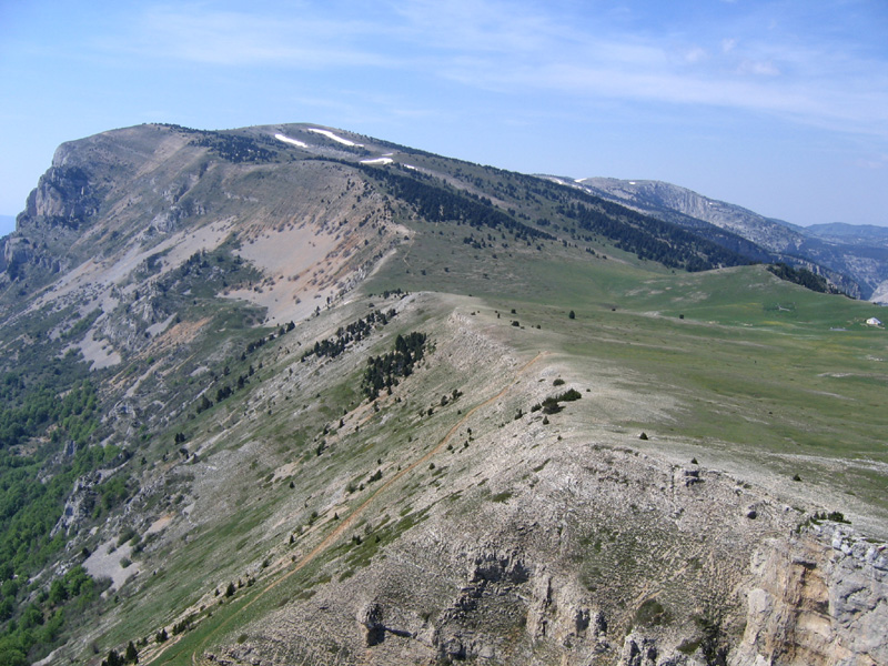 Bergies40.JPG (237016 octets)